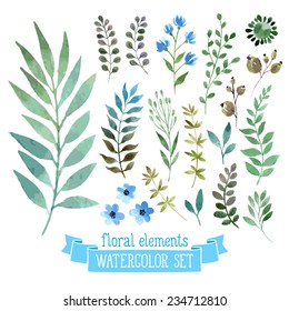 Vector floral set. Colorful floral collection with leaves and flowers, drawing watercolor. Spring or summer design for invitation, wedding or greeting cards