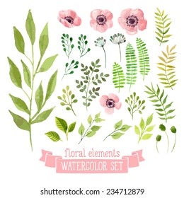 Vector floral set. Colorful floral collection with leaves and flowers, drawing watercolor. Spring or summer design for invitation, wedding or greeting cards