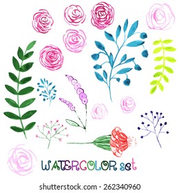 Vector floral set. Colorful floral collection with leaves and flowers, drawing watercolor. 