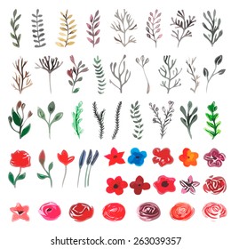 Vector floral set. Colorful floral collection with leaves and flowers, drawing watercolor. Spring or summer design for invitation, wedding or greeting cards