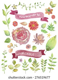 Vector floral set. Colorful floral collection with leaves and flowers, drawing watercolor. Spring or summer design for invitation, wedding or greeting cards