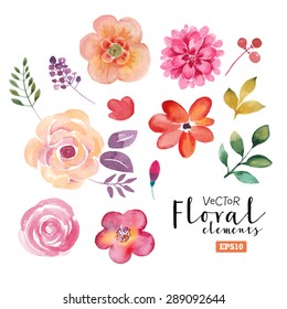 Vector floral set. Colorful floral collection with leaves and flowers, drawing watercolor. Spring or summer design for invitation, wedding or greeting cards