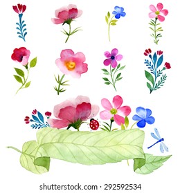Vector floral set. Colorful floral collection with leaves and flowers, drawing watercolor. Spring or summer design for invitation, wedding or greeting cards