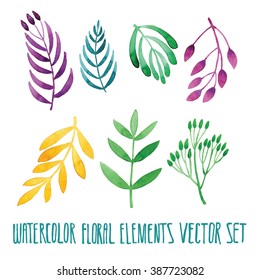 Vector floral set. Colorful floral collection with leaves, drawing watercolor. Spring or summer design for invitation, wedding or greeting cards. Set of floral elements for your compositions.