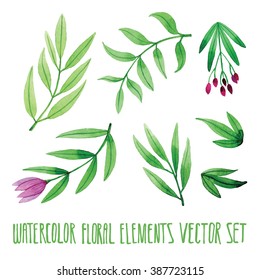 Vector floral set. Colorful floral collection with leaves, drawing watercolor. Spring or summer design for invitation, wedding or greeting cards. Set of floral elements for your compositions.
