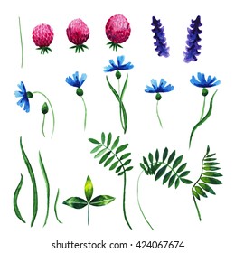 Vector floral set. Colorful floral collection with leaves and flowers, drawing watercolor. Spring or summer design for invitation, wedding or greeting cards. Wildflowers, Vector Illustration.
