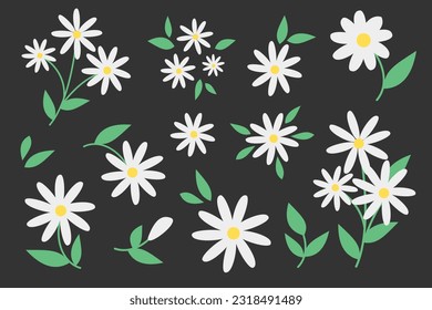 Vector Floral Set. Cute illustrations of daisies in a minimalist style 