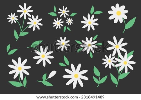 Vector Floral Set. Cute illustrations of daisies in a minimalist style 