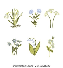 Vetor Floral set, delicadas Flores em cores azuis e verdes. Snowdrop, Daisy, Lily do vale, Esquece-me-não, Cornflower. Desenho minimalista Doodle estilo Plantas isoladas sobre fundo branco. Ideal