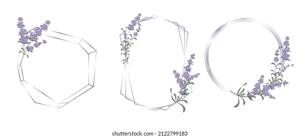 Vector floral set. Different polygonal and round frames, lavender flowers.