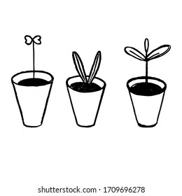 Conjunto floral vectorial. Estilo doodle, plantas forzadas a mano, plantas de semillero en macetas. Dibujo negro aislado en un fondo blanco, tema de jardinería, primavera, brotes jóvenes.