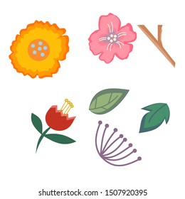Vector floral set.Set of flowers and leaves isolated on white background.