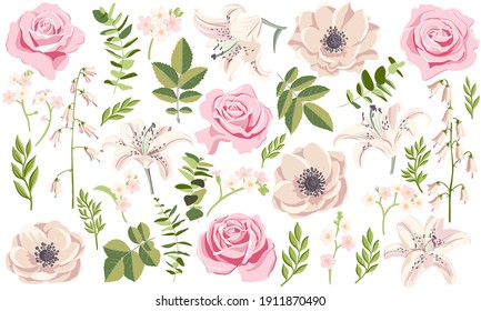 vector floral set, flowers, leaves and buds of pink anemone, lily and rose isolated at white background, hand drawn illustration