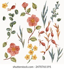 vector floral set of flowers, leaves, berries, plants and branches isolated at white background, natural elements, hand drawn botanical illustration