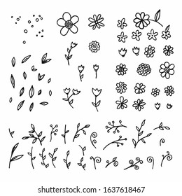 Vector floral set. Graphic collection with leaves and flowers in sketch style.