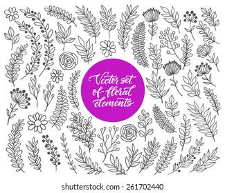 Conjunto floral vectorial. Colección gráfica con hojas y flores, elementos de dibujo. Diseño de primavera o verano para tarjetas de invitación, boda o saludos