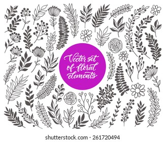 Vector floral set. Graphic collection with leaves and flowers, drawing elements. Spring or summer design for invitation, wedding or greeting cards