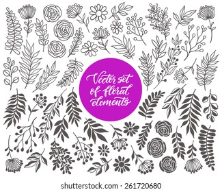 Vector floral set. Graphic collection with leaves and flowers, drawing elements. Spring or summer design for invitation, wedding or greeting cards