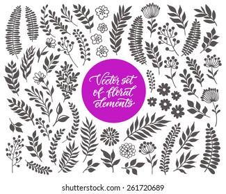 Vector floral set. Graphic collection with leaves and flowers, drawing elements. Spring or summer design for invitation, wedding or greeting cards