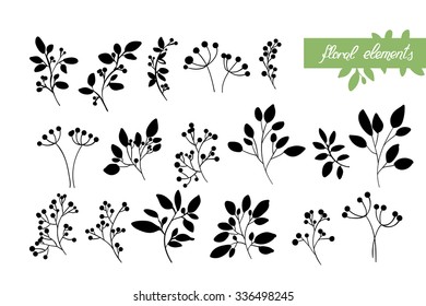 Vector floral set. Graphic collection with leaves and flowers, drawing elements. Spring or summer design for invitation, wedding or greeting cards