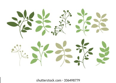 Vector floral set. Graphic collection with leaves and flowers, drawing elements. Spring or summer design for invitation, wedding or greeting cards