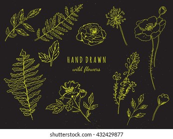 Vector floral set. Graphic collection with leaves and flowers, drawing elements. Spring or summer design for invitation, wedding or greeting cards