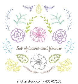 Vector floral set. Graphic collection with leaves and flowers, drawing elements. Spring or summer design for invitation, wedding or greeting cards