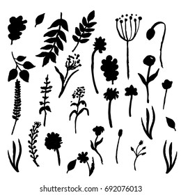 Vector floral set. Graphic collection with leaves and flowers, drawing elements. Spring or summer design for invitation, wedding or greeting cards.
