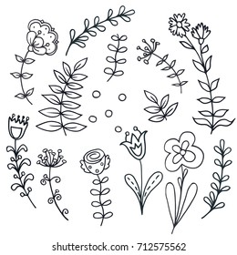 Vector floral set. Graphic collection with leaves and flowers, drawing elements. Spring or summer design for invitation, wedding or greeting cards.