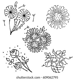 Vector floral set, graphic illustration. Flowers with leaves isolated on the white background. Hand drawn contour lines and strokes. Outline drawing