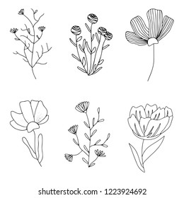 Vector floral set. Hand drawn Floral doodles.