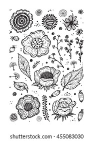 Vector Floral Set. Hand drawn doodle Vintage flowers, leaves, twigs, seeds. Floral flyer, brochure template or coloring page