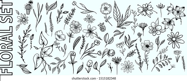 Vector floral set with leaves and flowers, drawing elements. Spring or summer decorative elements for design  invitation, wedding or greeting cards