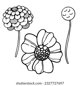 Vektorblumenset. Blätter und Blumen, Blumengrafik	