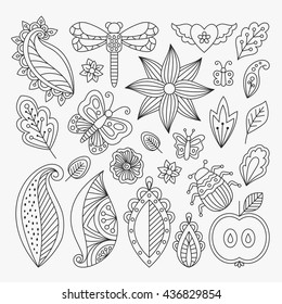 Vector floral set with leaves and herbs, bugs and butterflies. Summer theme elements for invitation, wedding or greeting cards