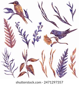 vector floral set of leaves, plants, birds and branches isolated at white background, natural elements, hand drawn botanical illustration