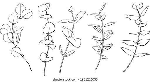 Conjunto vectorial floral de hojas y ramas lineales de eucalipto. Plantas negras pintadas a mano aisladas de fondo blanco. Ilustración minimalista para diseño, impresión, tela, fondo. Moderno y de diseño.