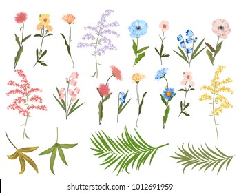 Vector floral set on white background. Colorful floral collection with tropical leaves and flowers. Spring or summer design for invitation, wedding or greeting cards.