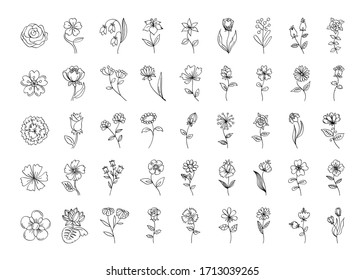 Vector floral set, outline black flowers, simple line art floral collection, line-art different flowers, roses, mac, herbal, lily, for your design isolated on white background