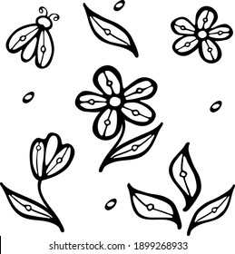 Vector Floral Set. Outline Doodle Graphic collection with flowers, leaves, and a butterfly. Isolated flower drawing elements for design textile, coloring book