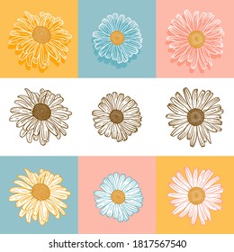 Vektorfloralset. Outline Vintage Daisy (Kamille, Kamille) Blumen. handgezeichnete Blumenskizze