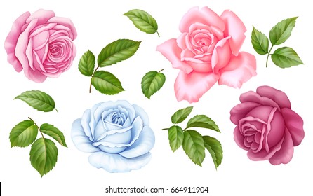 Vector floral set of pink, red, blue white vintage rose flowers green leaves  isolated on white background. Digital watercolor illustration.