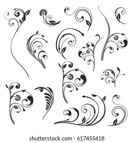 Vector floral. Set of vector silhouettes isolated on white background.