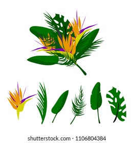 Vector floral set. Tropic collection of different palm leaves, exotic strelitzia flower in colorful flat collage style. Decoration elements for invitations, greeting cards, wedding, apparel, t shirt 