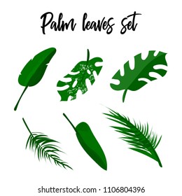 Vector floral set. Tropic collection of different palm leaves, exotic strelitzia flower in colorful flat collage style. Decoration elements for invitations, greeting cards, wedding, apparel, t shirt 