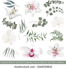 Vector Floral Set. White Lilies, white and pink orchid, eucalyptus sprigs, seaweed, green leaves and plants. Flowers and plants on white background.