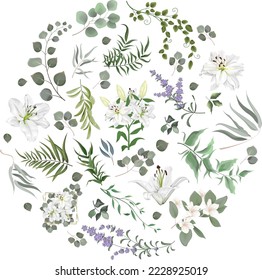 Vector Floral Set. White lilies , lavender, magnolia, eucalyptus. Different kinds of plants and leaves. Collection for wedding design 