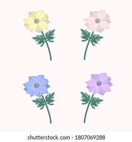 Vector floral set wiyh anemone flowers