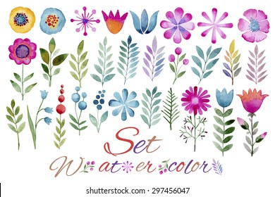 Vector floral set.Collection with leaves.Spring or summer design for invitation, wedding or greeting cards.