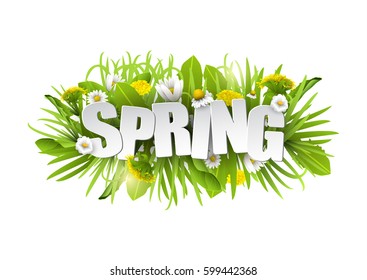 Vector floral spring background with dandelions and chamomiles isolated on white background.